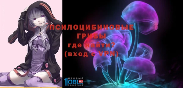 ПСИЛОЦИБИНОВЫЕ ГРИБЫ Алексеевка