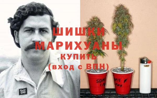 гидропоника Алзамай
