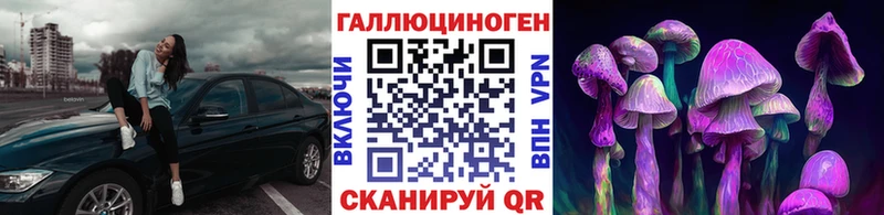 Псилоцибиновые грибы MAGIC MUSHROOMS  Талдом 